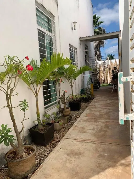 Nice And Well Located Apartment In Santa Fe Caucel Mexico